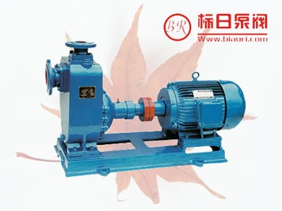 供应ZX型自吸泵
